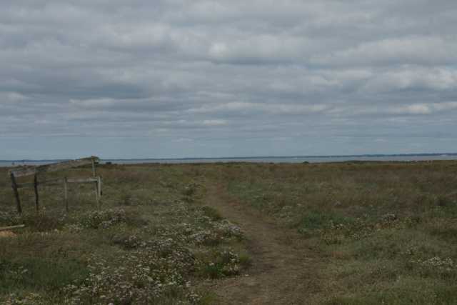 DSC08603.JPG
