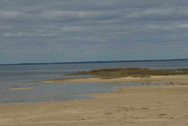 DSC08624.JPG
