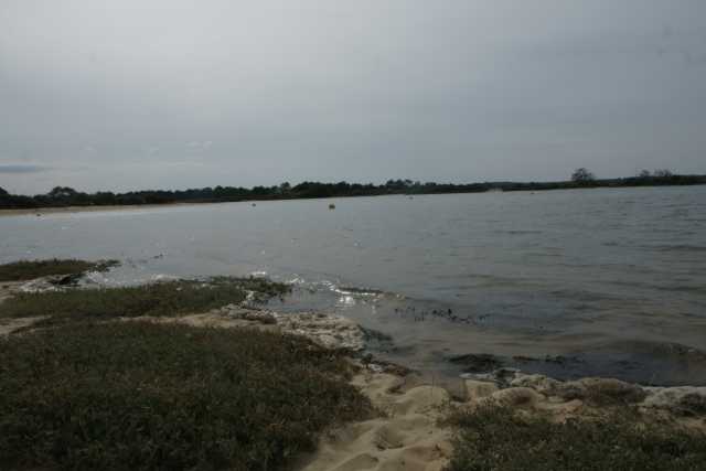 DSC08638.JPG