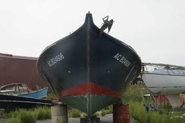 DSC08664.JPG