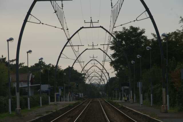 DSC08765.JPG
