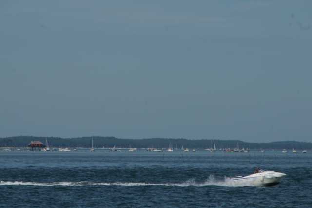 DSC08847.JPG
