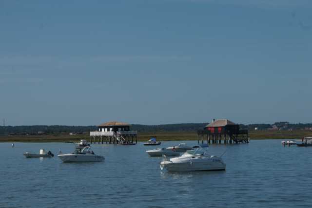 DSC08870.JPG