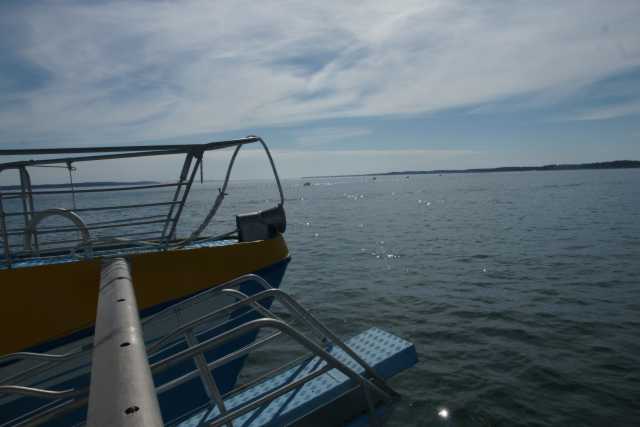 DSC08904.JPG