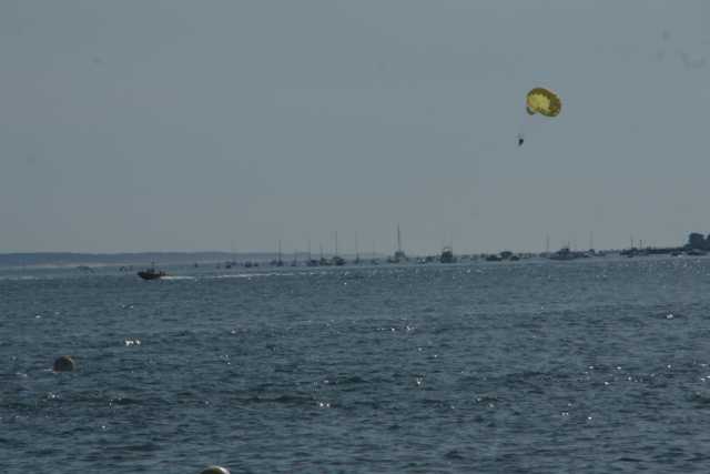 DSC08959.JPG