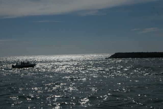 DSC09057.JPG