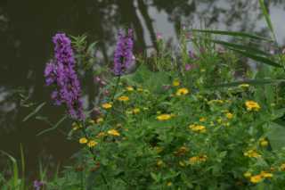 DSC08309.JPG