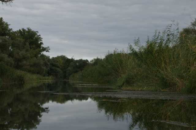 DSC08307.JPG