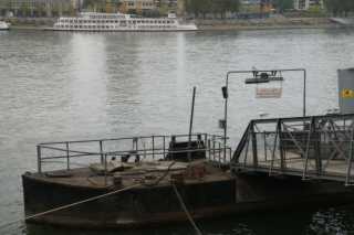 DSC00667.JPG