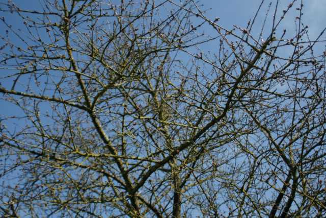 DSC01176.JPG