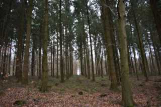DSC_0261.JPG