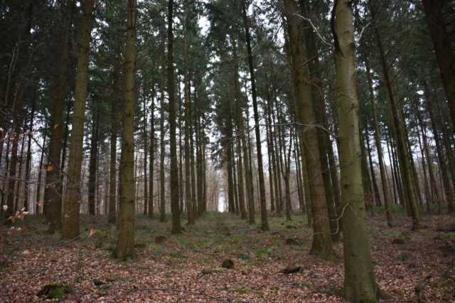 DSC_0261.JPG