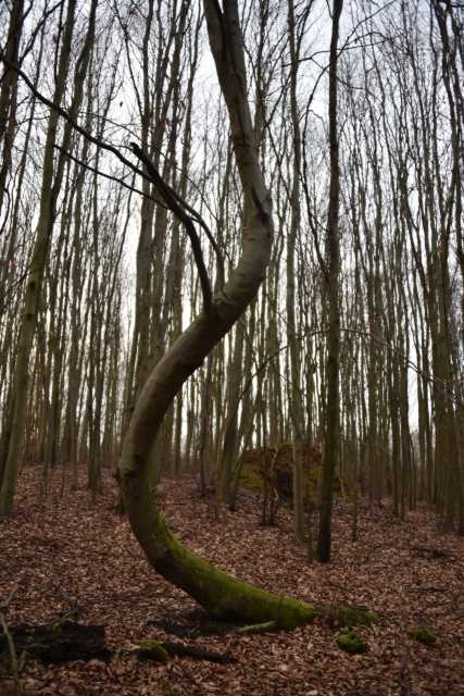 DSC_0292.JPG