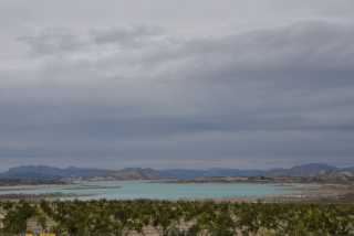 DSC_0894.JPG