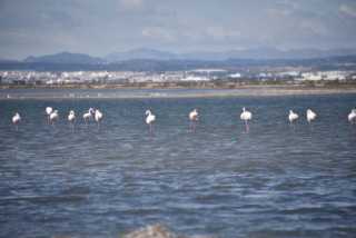 DSC_1012.JPG