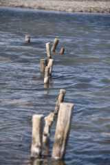 DSC_1106.JPG