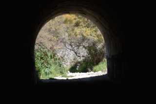 DSC_1244.JPG