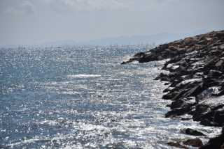 DSC_1446.JPG