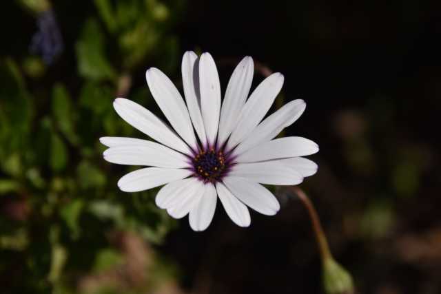 DSC_0348.JPG