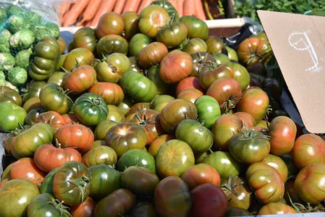 DSC_0395.JPG