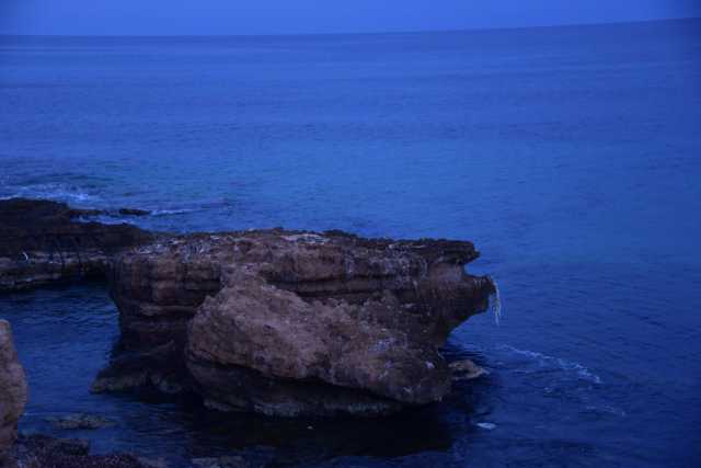 DSC_0588.JPG