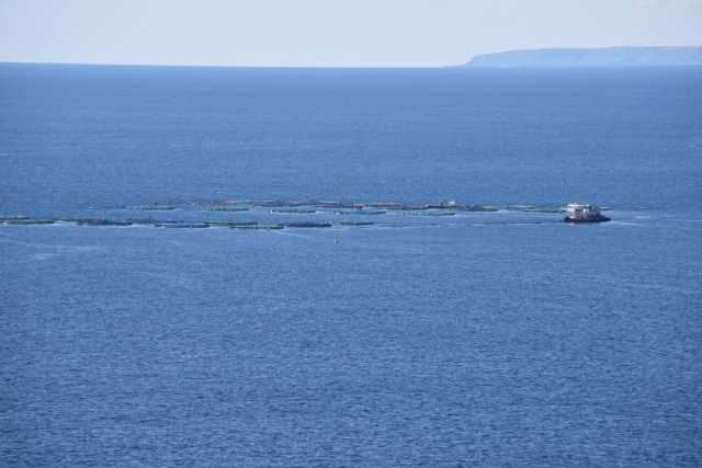 DSC_0657.JPG