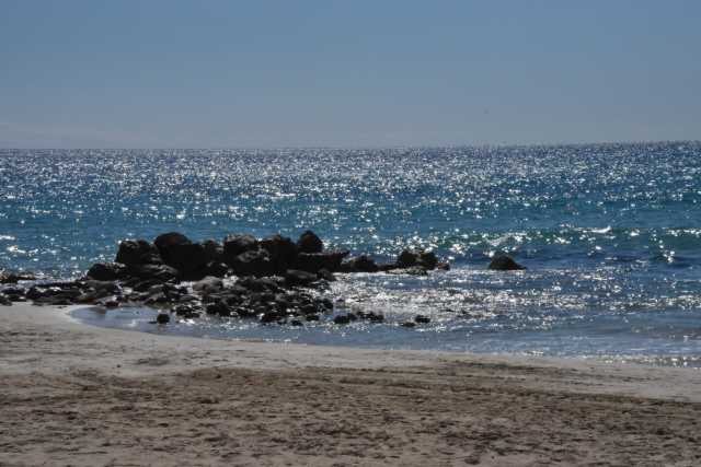 DSC_0710.JPG
