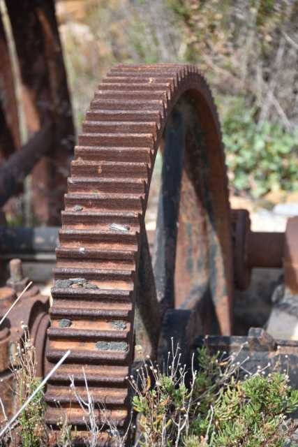 DSC_0963.JPG