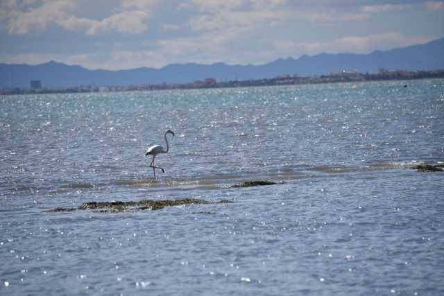 DSC_1077.JPG