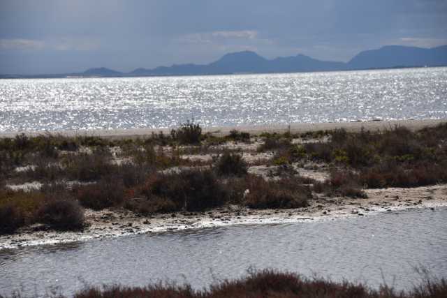 DSC_1093.JPG