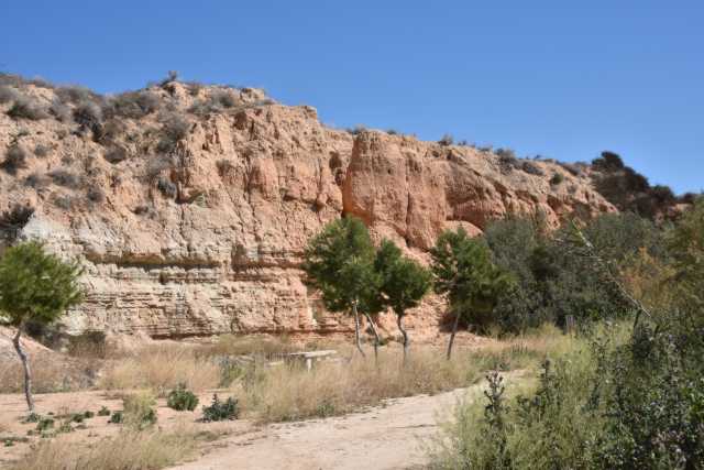 DSC_1272.JPG