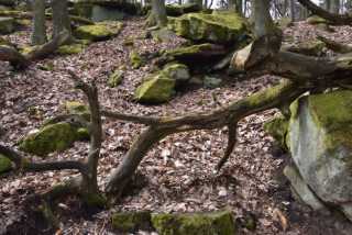 DSC_1997.JPG