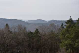 DSC_2022.JPG