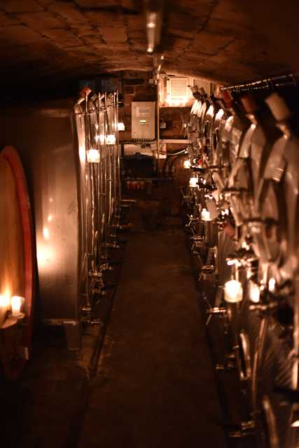 DSC_1938.JPG