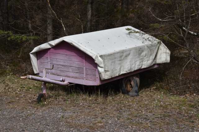 DSC_2013.JPG