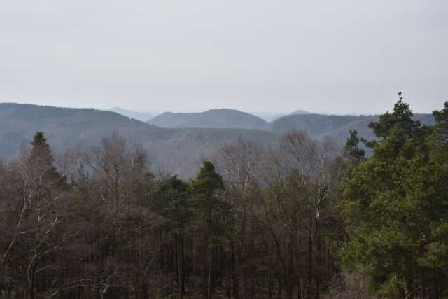 DSC_2022.JPG