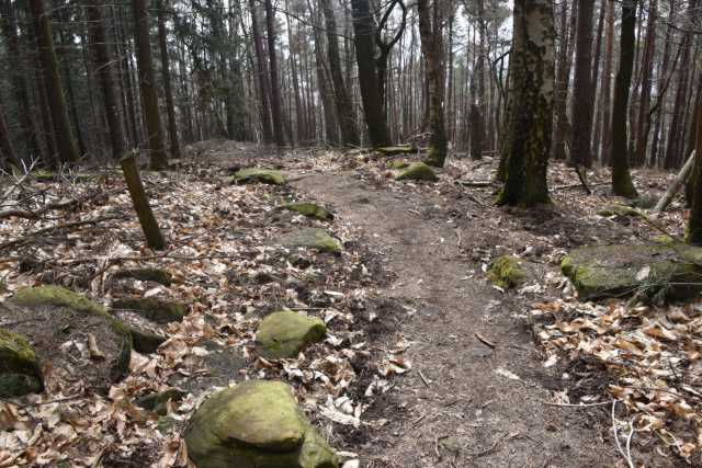 DSC_2031.JPG