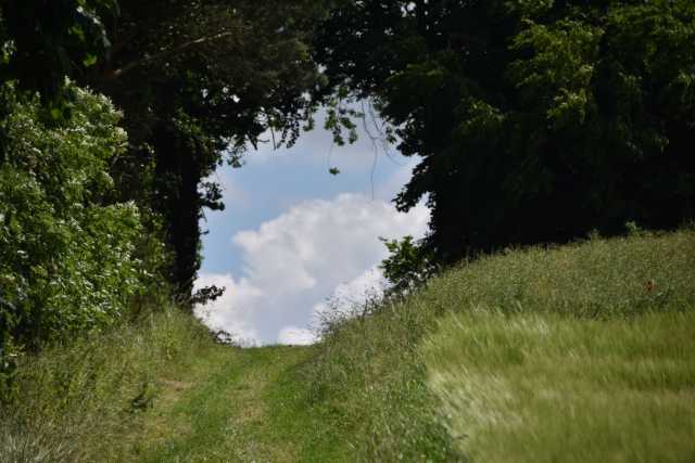 DSC_3903.JPG