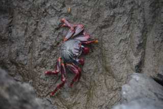 DSC_7744.JPG