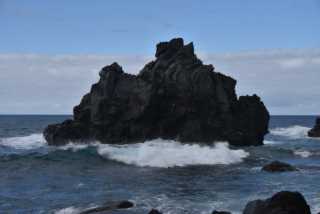 DSC_7750.JPG
