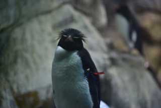 DSC_7962.JPG
