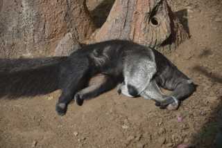 DSC_8032.JPG