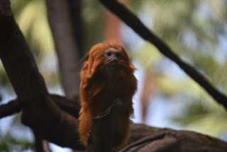 DSC_8033.JPG