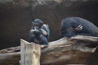 DSC_8063.JPG