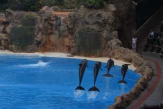 DSC_8066.JPG