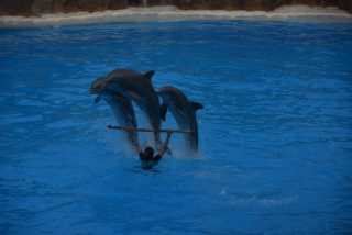 DSC_8071.JPG