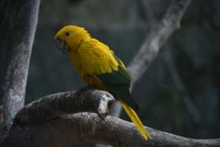 DSC_8250.JPG