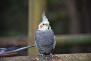 DSC_8310.JPG