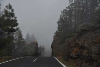 DSC_8721.JPG