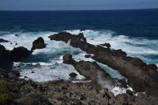 DSC_8794.JPG